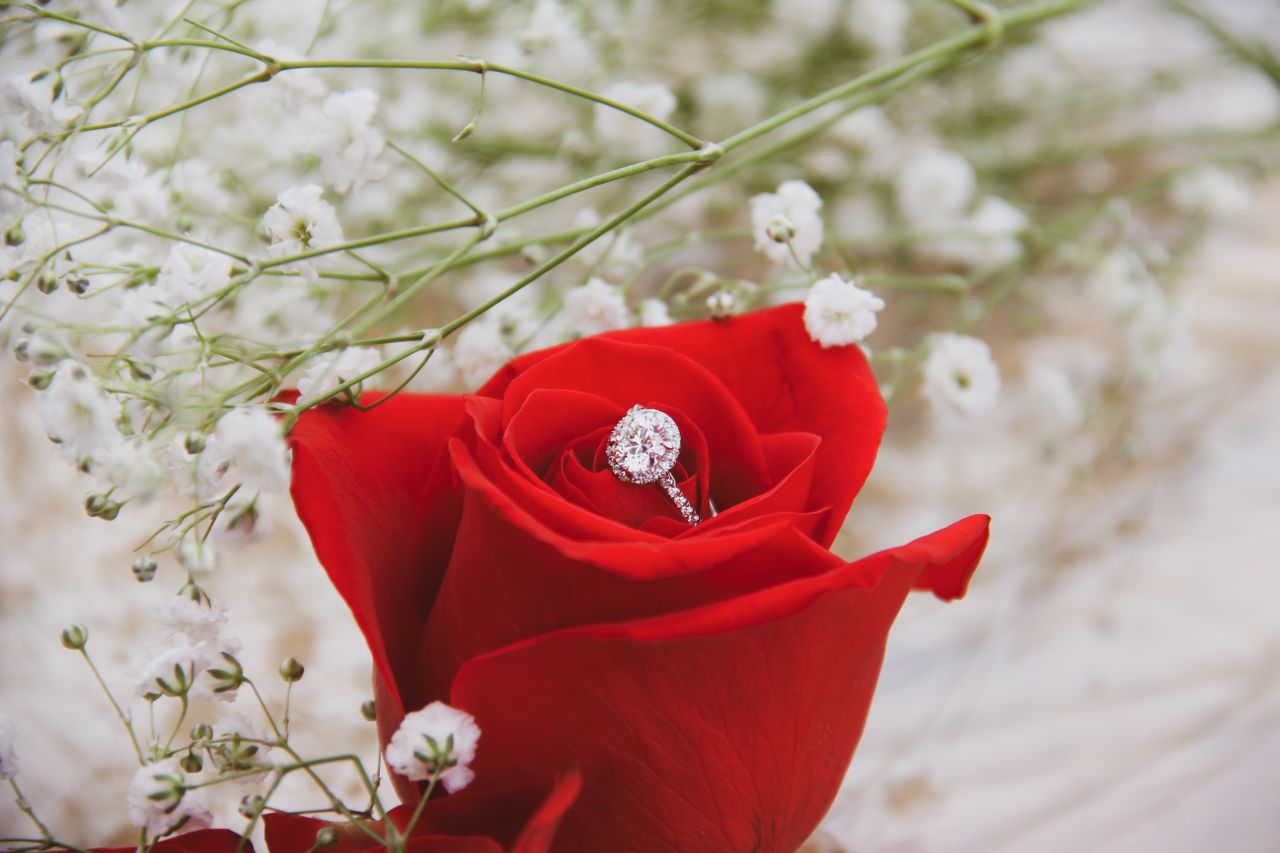 A sparkling diamond ring nestled in a vibrant red rose, surrounded by delicate white baby's