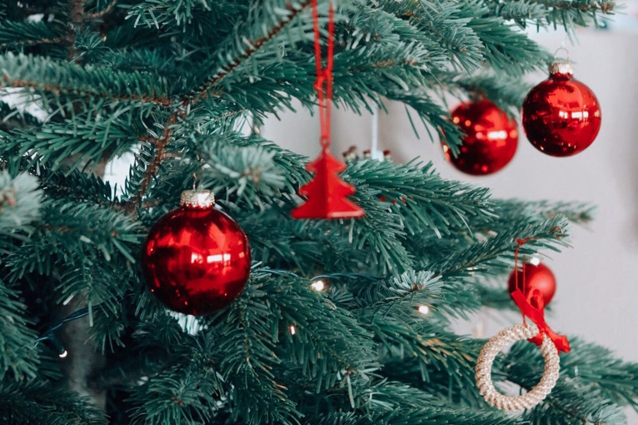 An array of red ornaments hang from a Christmas tree.