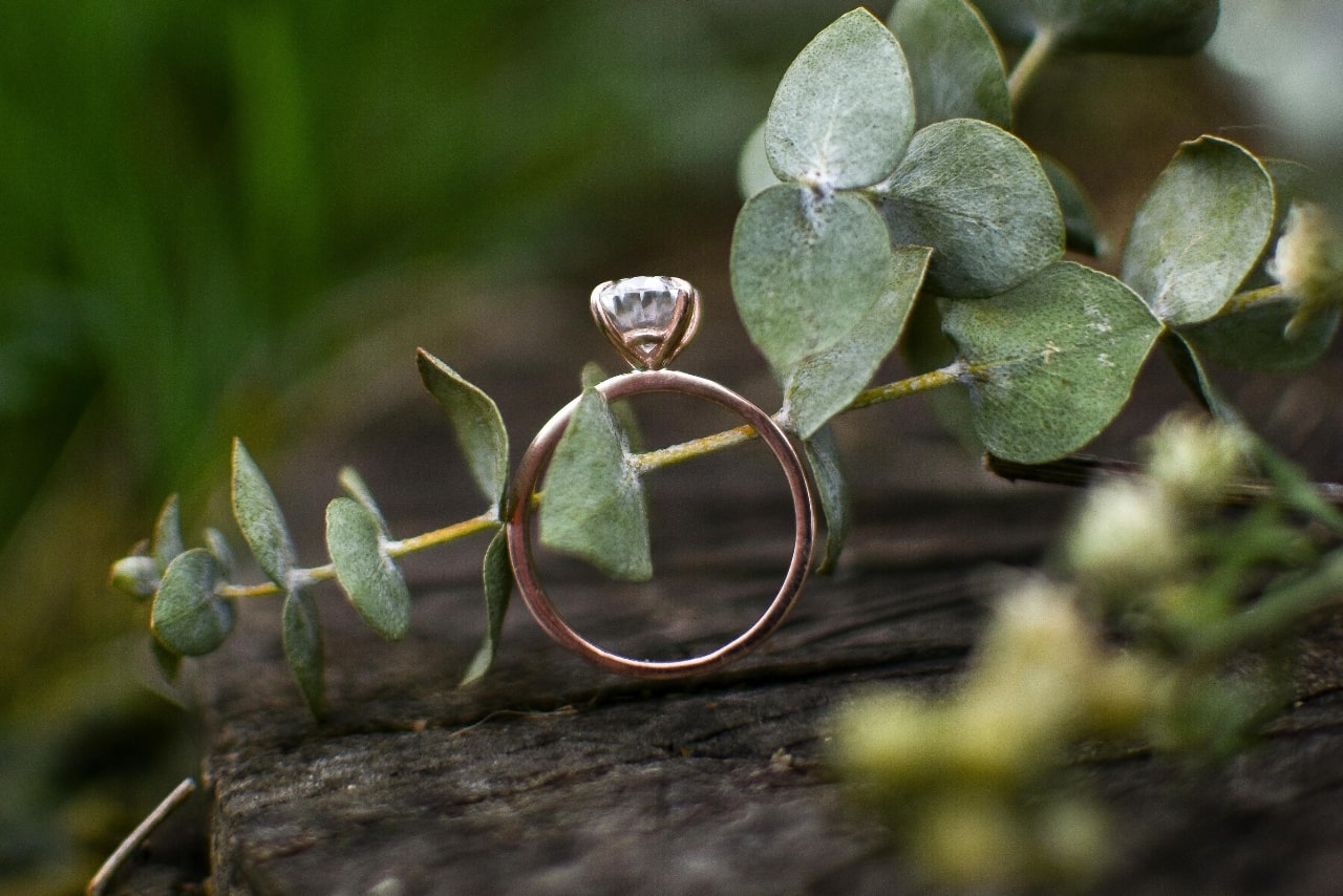 A close-up of a yellow gold solitaire engagement ring sitting on a piece of bark by a sprig of eucalyptus.